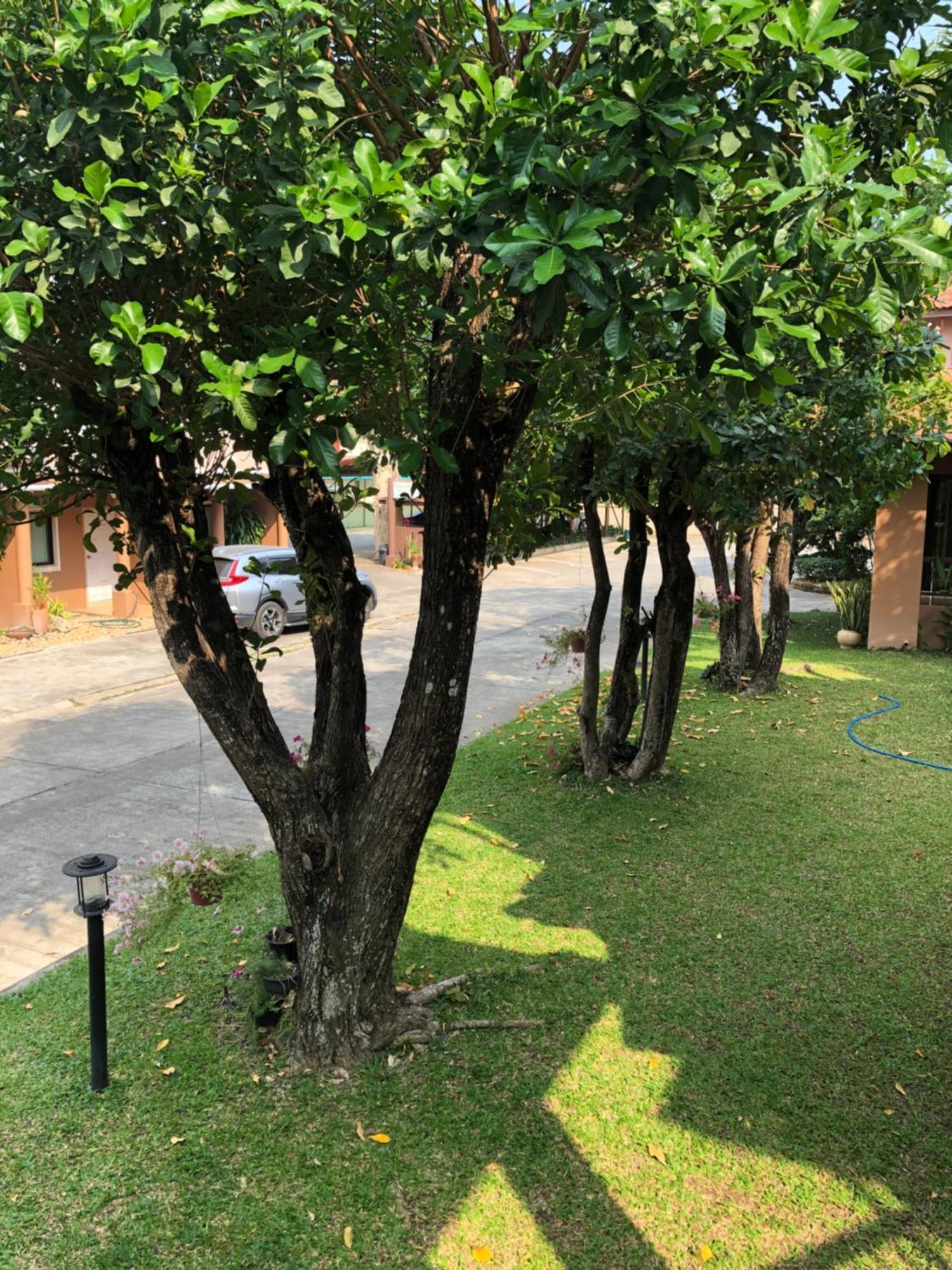 Areena Resort And Hotel Uttaradit Esterno foto
